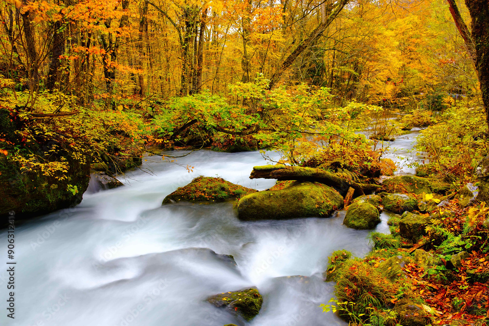 The beautiful autumn scene of Waterfall in Oirase stream, Towada, Japan The beautiful autumn scene of Waterfall in Oirase stream, Towada, Japan