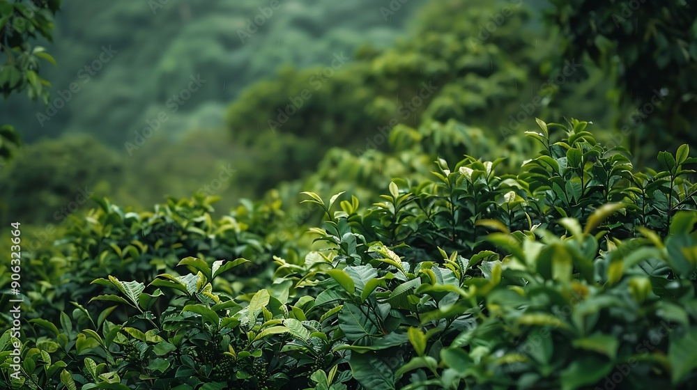Hillside with green shrubs and tropical plants on coffee plantation in Quindio Department in Colombia : Generative AI Hillside with green shrubs and tropical plants on coffee plantation in Quindio Department in Colombia : Generative AI