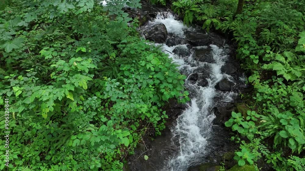 きれいな水の流れ　岩がゴロゴロした沢　山の中　自然風景