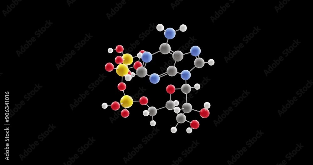 Adenosine triphosphate molecule, rotating 3D model of atp, looped video on a black background Adenosine triphosphate molecule, rotating 3D model of atp, looped video on a black background