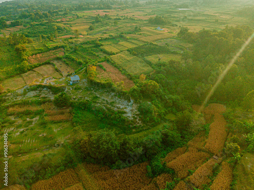 Aerial drone view of paddy fields scenery during sunrise at Pangururan in Samosir Island, Sumatra Utara, Indonesia. photo