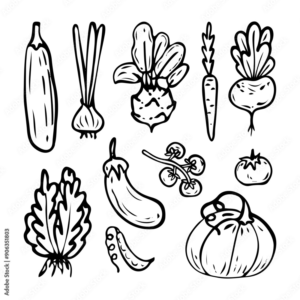 A set of vegetables from the garden hand drawn in doodle style. Fresh fruits, roots, berries, leaves for eating. Farm grown products. Onions, zucchini, cabbage, carrots. Vector line art illustration. A set of vegetables from the garden hand drawn in doodle style. Fresh fruits, roots, berries, leaves for eating. Farm grown products. Onions, zucchini, cabbage, carrots. Vector line art illustration.