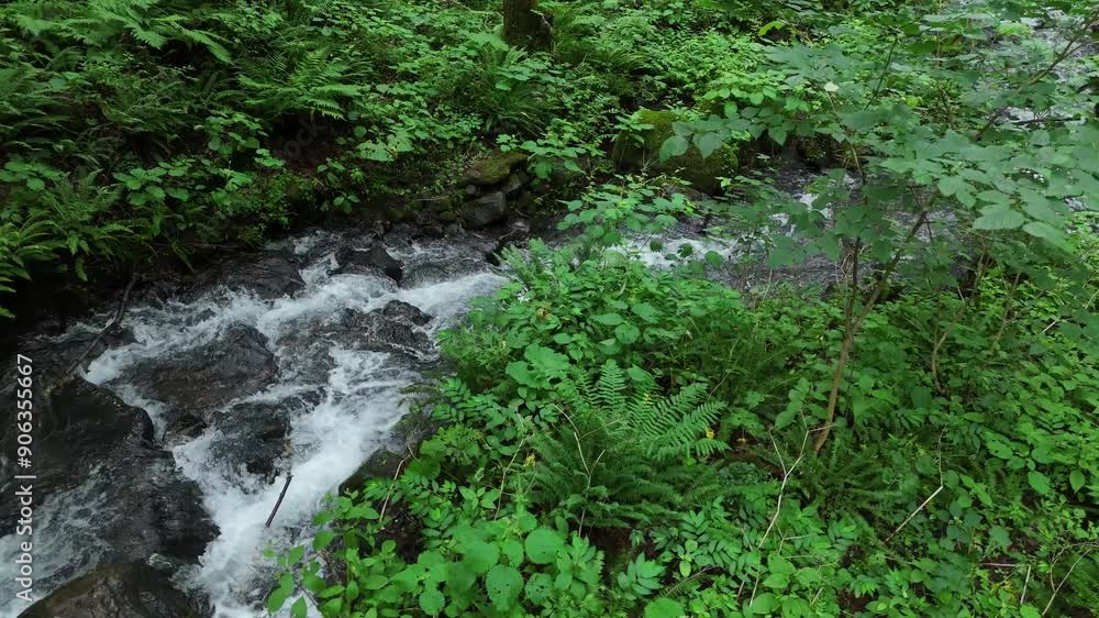 きれいな水の流れ 岩がゴロゴロした沢 山の中 自然風景 きれいな水の流れ 岩がゴロゴロした沢 山の中 自然風景