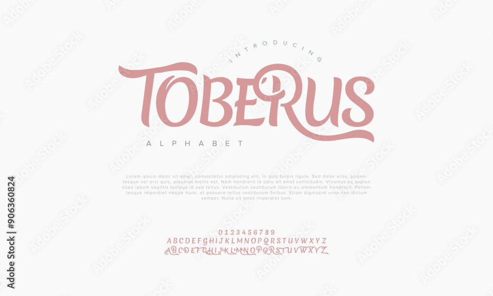 Toberus swash luxury elegant alphabet letters and numbers. Vintage wedding typography classic serif font decorative vintage retro. creative vector illustration Toberus swash luxury elegant alphabet letters and numbers. Vintage wedding typography classic serif font decorative vintage retro. creative vector illustration