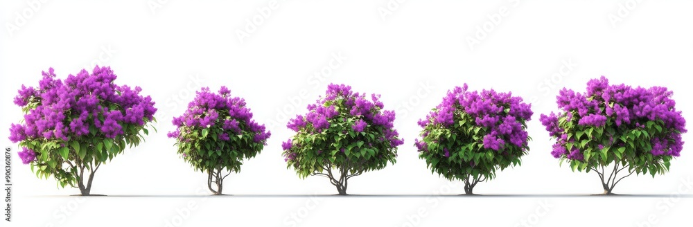 Set of three 3D illustrations of Callicarpa americana isolated on black Set of three 3D illustrations of Callicarpa americana isolated on black