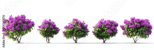 Set of three 3D illustrations of Callicarpa americana isolated on black