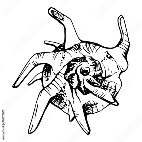 Marine life, sea ocean underwater creatures fish, shells algae seaweed, Ink and pen sketch hand drawn. Single object illustration, stylized, isolated on white. Zoo shop, aquarium, cosmetics, resort