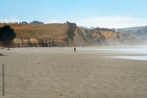 Canvas-taulu Moeraki Boulders Beach - New Zealand