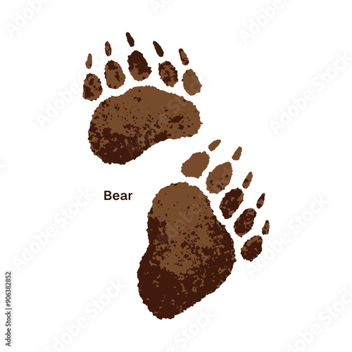 Icon of wild bear trails. Print of front and back paws with inscription. Traces of grizzly claws on ground. Silhouettes of forest animal tracks. Flat isolated vector illustration on white background