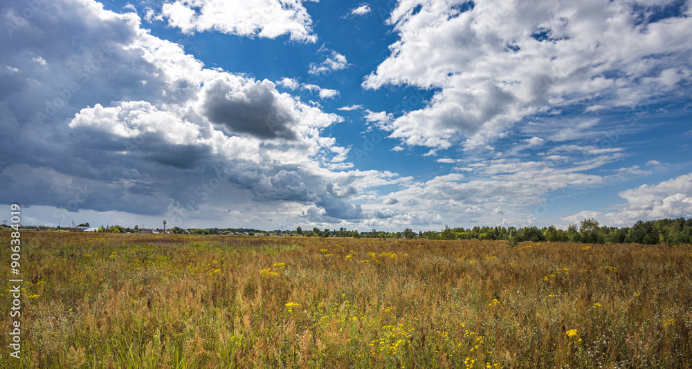Obraz premium Golden grasses sway gently while fluffy clouds dance across a brilliant blue sky, revealing a peaceful meadow in mid-afternoon splendor.