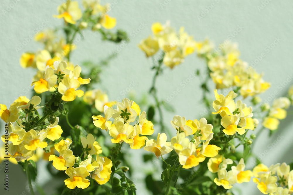 yellow flowers on green background
