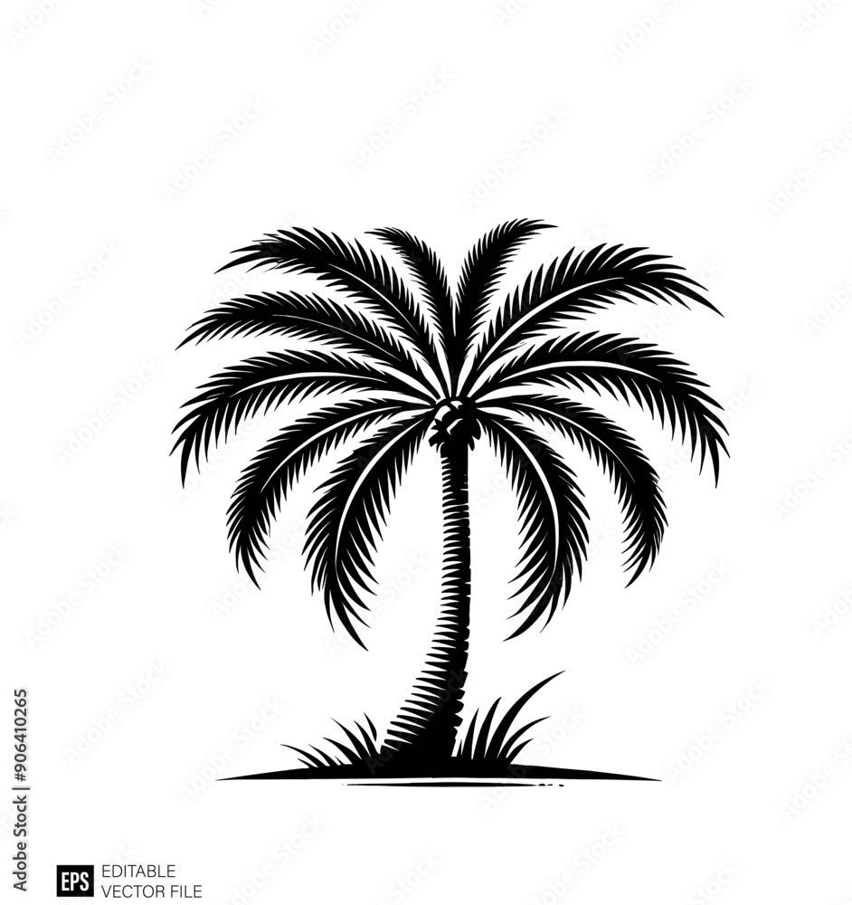 Fototapeta premium palm tree vector graphic design black and white clip art silhouette