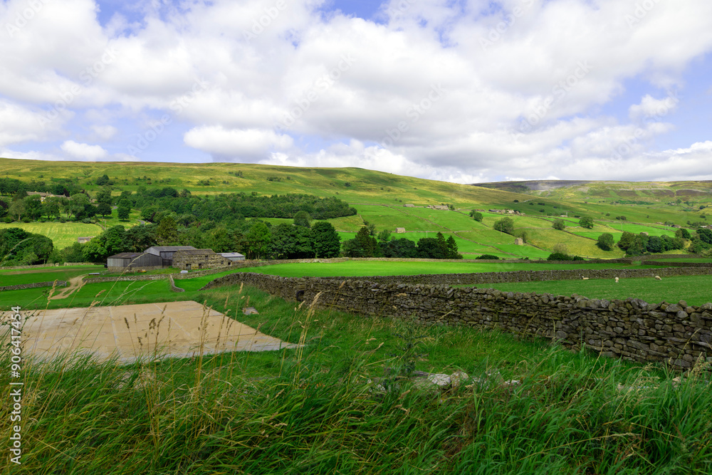 Obraz premium Farmland between Muker and Reeth.