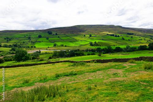 Lush Reeth farmland, on a sunny day.