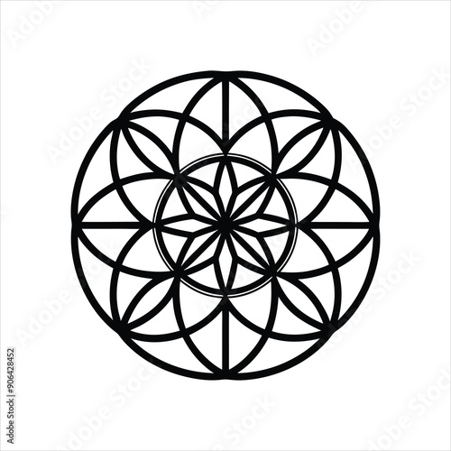 flower of life art vector