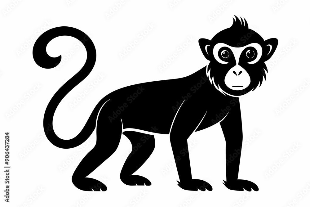 Monkey silhouette, Monkey icon vector illustration
Monkey silhouette, Monkey icon vector illustration