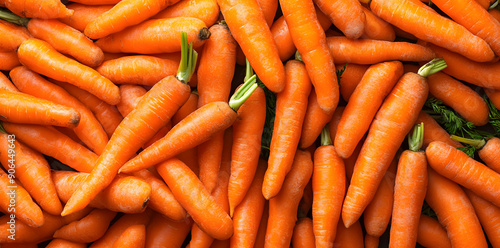 Fresh organic delicious carrots background