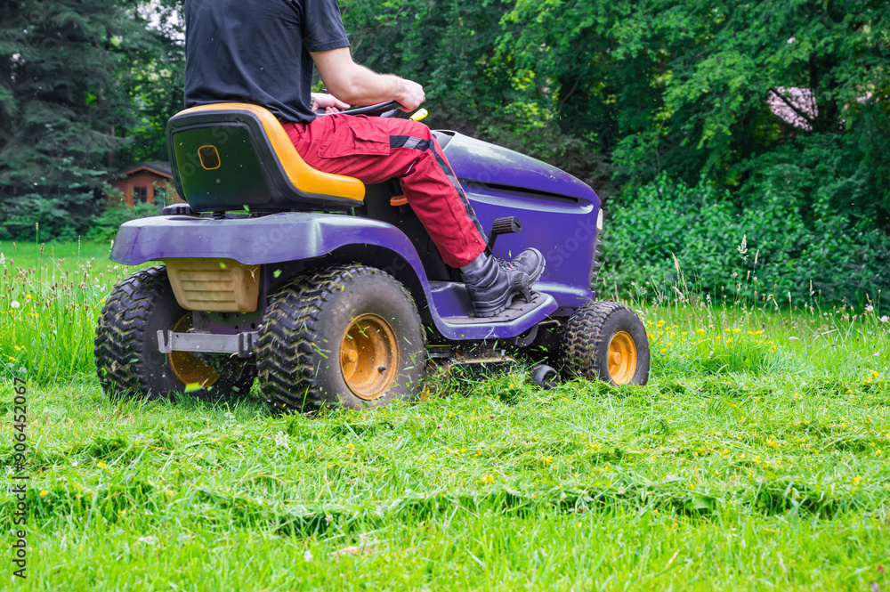 Obraz premium Man mowing lawn with riding lawn mower. Gardener showing thumbs up and smiling. Back view