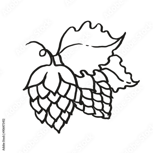 Hops vector icon linear illustration on white