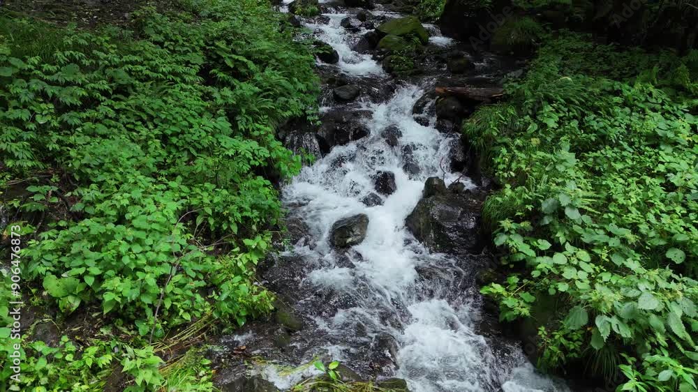 きれいな水の流れ 岩がゴロゴロした沢 山の中 自然風景 きれいな水の流れ 岩がゴロゴロした沢 山の中 自然風景