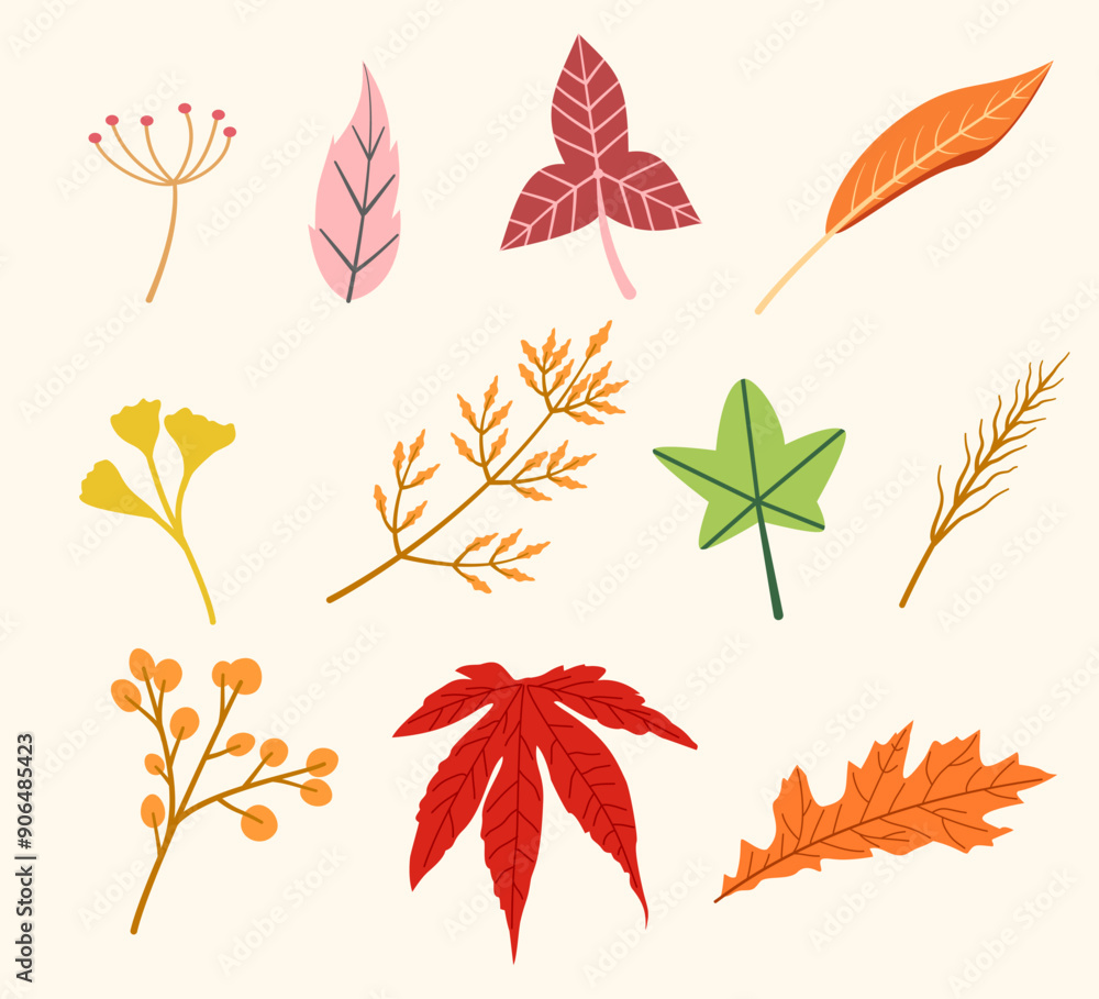 Autumn leaves collection with various colors Autumn leaves collection with various colors