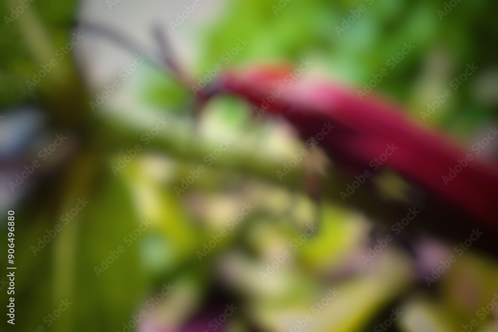 The image shows a close-up of a vibrant red chili pepper with green leaves, showcasing its fresh and spicy appearance in a garden setting The image shows a close-up of a vibrant red chili pepper with green leaves, showcasing its fresh and spicy appearance in a garden setting