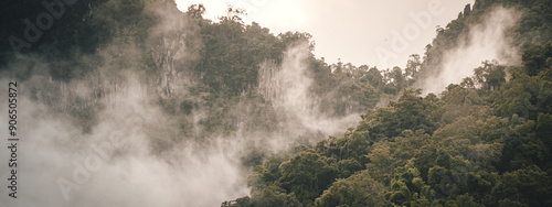 panorama banner background of tropical forest landscape the mountain landscape is veiled in a misty fog, with clouds drifting across the sky, while a solitary tree stands tall.