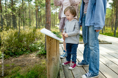 Children exploring in Viru Bog, located in Lahemaa National Park, Estonia. Unique wetland ecosystem supports diverse wildlife and is a home to unique plants and animals. photo