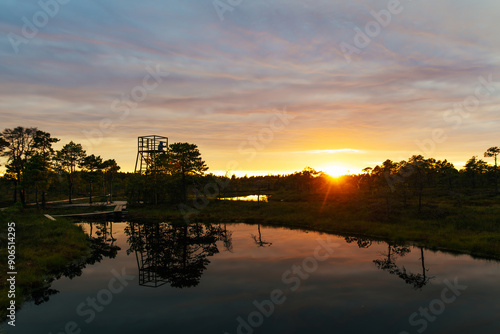 Sunset at Seli Bog, dotted with pine trees, hollows and pools, located in Jarva county, Estonia. Unique wetland ecosystem supports diverse wildlife and is a home to unique plants and animals photo