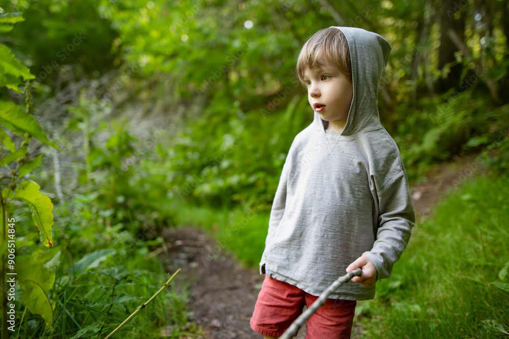 Toddler boy exploring in beautiful mixed pine and deciduous forest of Estonia. Beauty of Baltic nature. Toddler boy exploring in beautiful mixed pine and deciduous forest of Estonia. Beauty of Baltic nature.