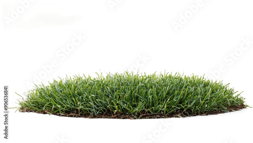 Patch of fresh green lawn grass cut out isolated on white