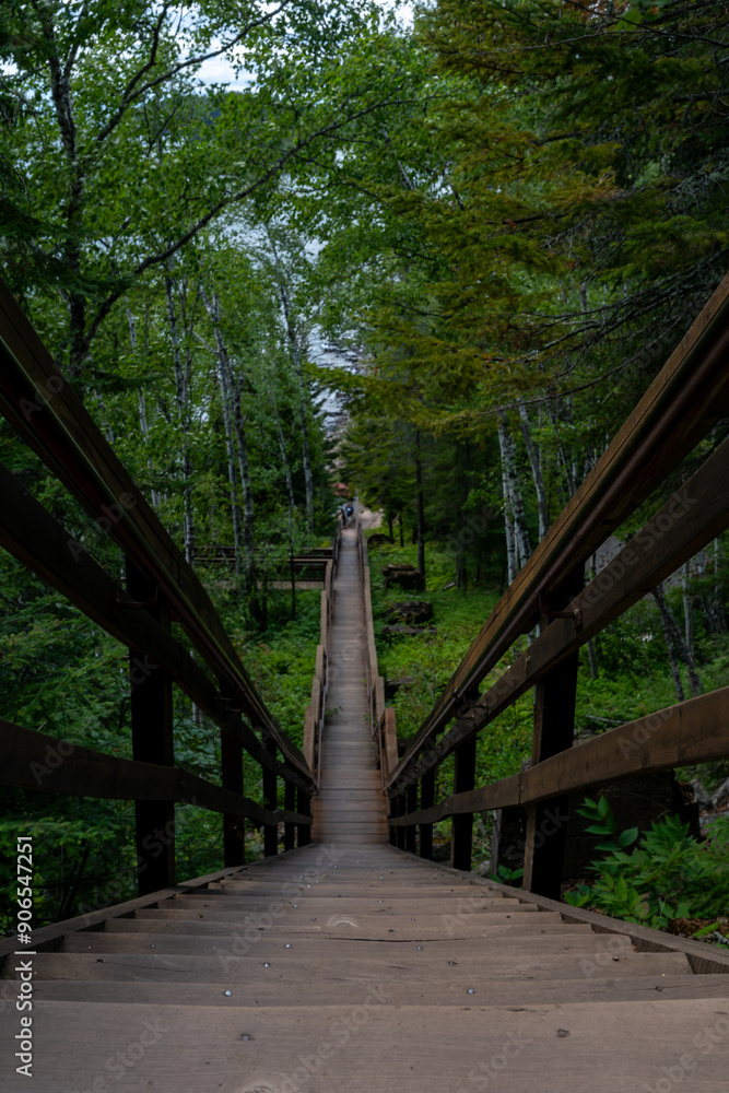 Obraz premium Close-up view of a wooden boardwalk vanishing towards the horizon.