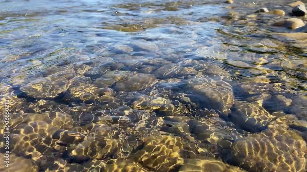 A fast river on a sunny day. Krapatsk reservoir with stones. Summer day by the river. Beautiful yellow colors near the pond. High quality 4k footage A fast river on a sunny day. Krapatsk reservoir with stones. Summer day by the river. Beautiful yellow colors near the pond. High quality 4k footage