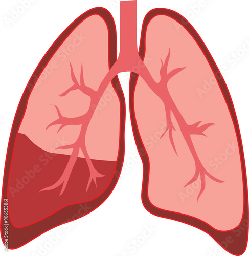 human Lugn anatomy for nursing and  hospital