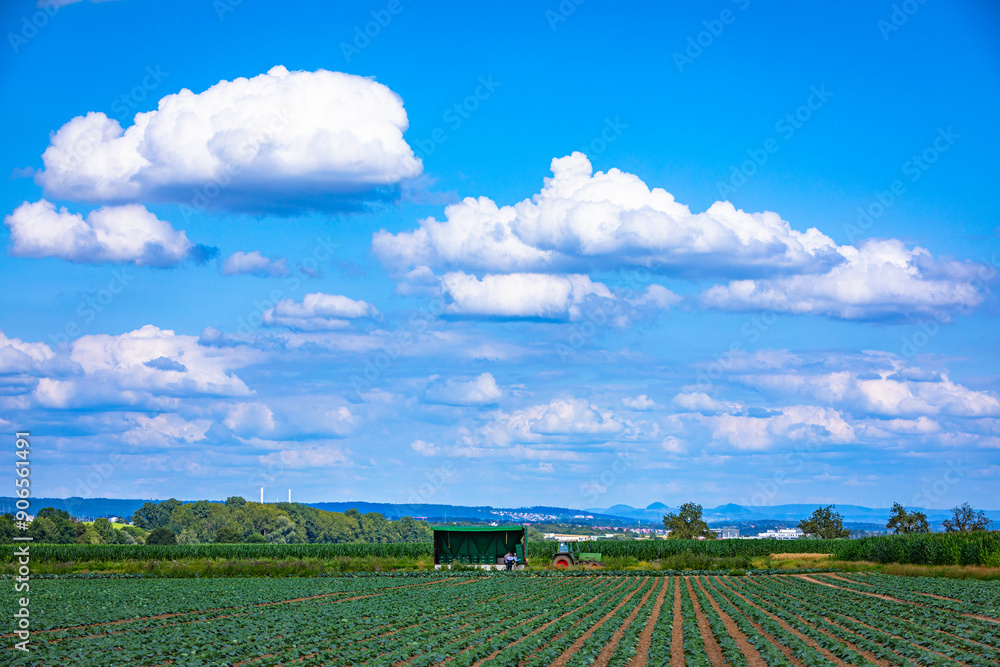 Obraz premium summer scene landscape on the fields with good view