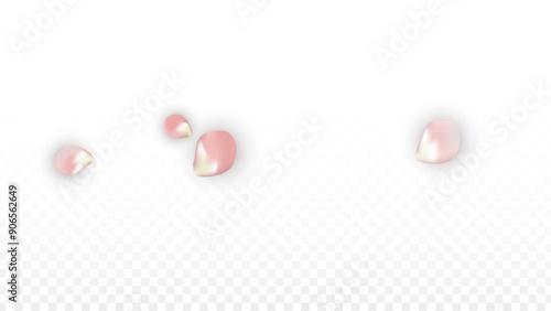 Pink Vector Realistic Petals Falling on Transparent Background. Spring Romantic Flowers Illustration. Flying Petals. Sakura Spa Design. Blossom Confetti. Design Elements for Wedding Decoration.