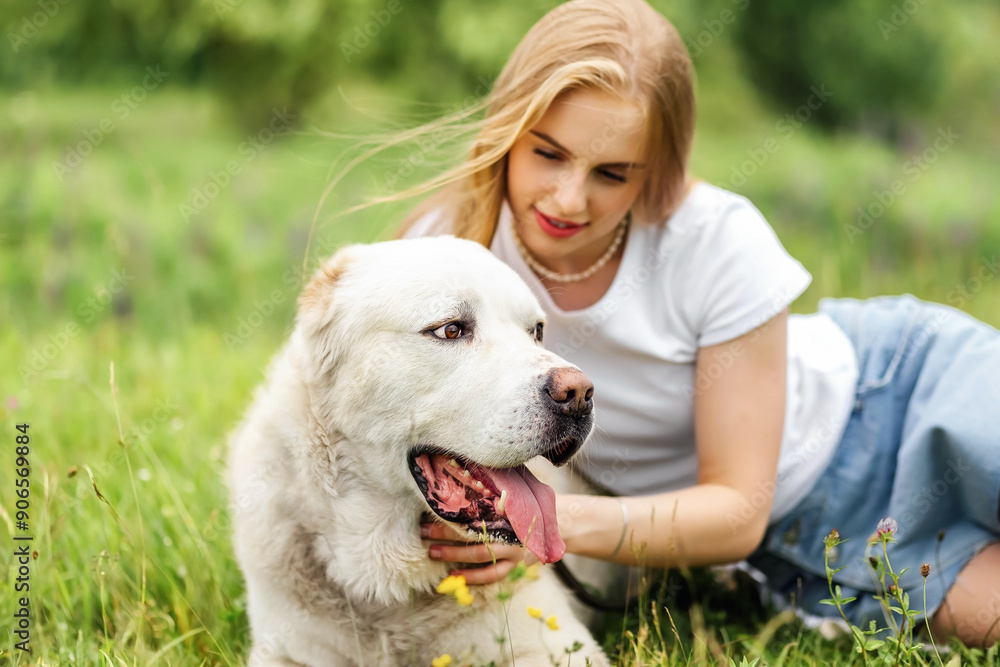 White dog Alabai Central Asian Shepherd Dog on green grass and flowers summerbackground White dog Alabai Central Asian Shepherd Dog on green grass and flowers summerbackground