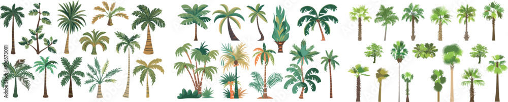 Fototapeta premium Cartoon palm trees. Summer coco palms, jungle coconuts. Spring beach plants.