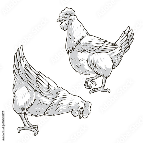 Domestic chickens set stickers monochrome