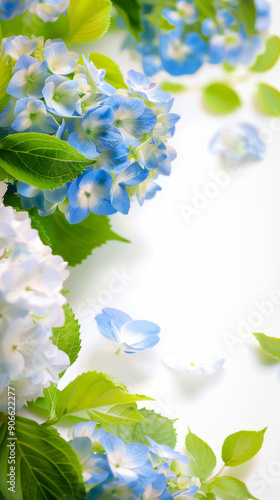 A white background showcase...