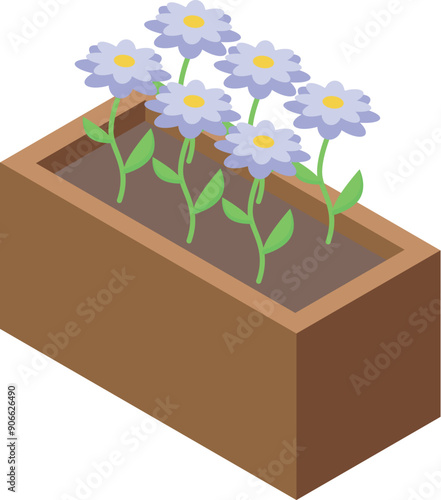 Wooden flower box with blooming daisies growing in soil, isometric icon illustration