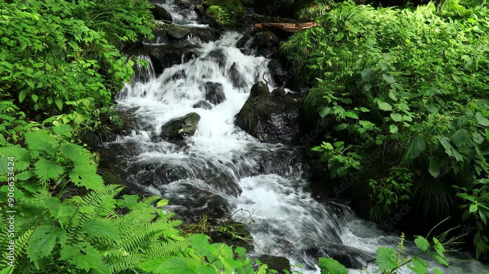 きれいな水の流れ 岩がゴロゴロした沢 山の中 自然風景 きれいな水の流れ 岩がゴロゴロした沢 山の中 自然風景
