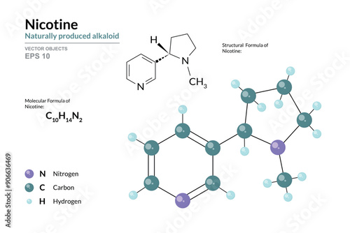 Nicotine. Alkaloid. Structural Chemical Formula and 3d Model of Molecule. C10H14N2. Atoms with Color Coding. Vector graphic Illustration for educational materials, scientific articles, presentations