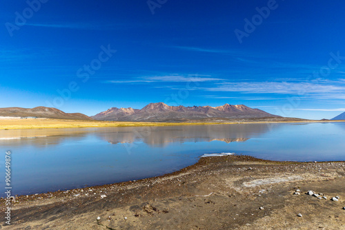 La Reserva Nacional de Salinas y Aguada Blanca. Ubicada en los departamentos peruanos de Arequipa y Moquegua, Peru.