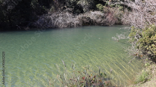 Discover the beauty of Lagoa Dourada, a golden oasis in Parque Estadual de Vila Velha, Paraná, Brazil
