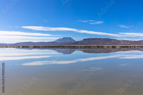 La Reserva Nacional de Salinas y Aguada Blanca. Ubicada en los departamentos peruanos de Arequipa y Moquegua, Peru.