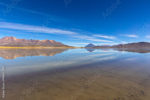 La Reserva Nacional de Salinas y Aguada Blanca. Ubicada en los departamentos peruanos de Arequipa y Moquegua, Peru.
