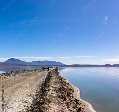 La Reserva Nacional de Salinas y Aguada Blanca. Ubicada en los departamentos peruanos de Arequipa y Moquegua, Peru.