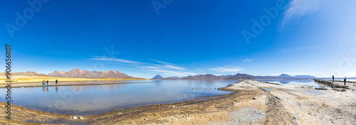 La Reserva Nacional de Salinas y Aguada Blanca. Ubicada en los departamentos peruanos de Arequipa y Moquegua, Peru.