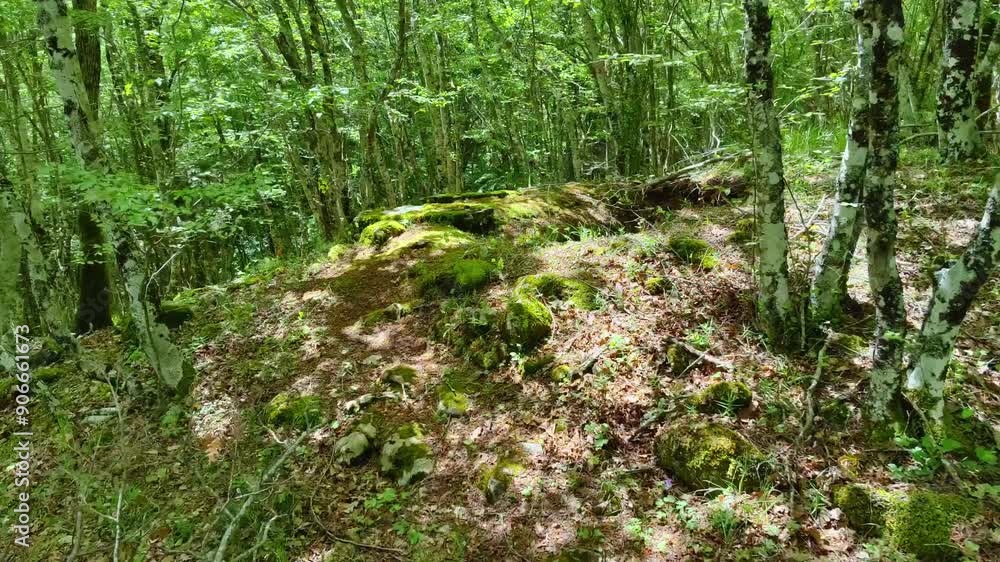 THRACIAN CMPLEXULT CO IN LOCALITY THRACIAN CMPLEXULT CO IN LOCALITY